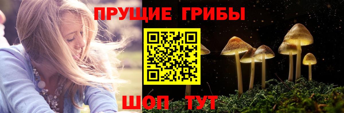 Псилоцибиновые грибы GOLDEN TEACHER  где купить   Нововоронеж  Вход с VPN 